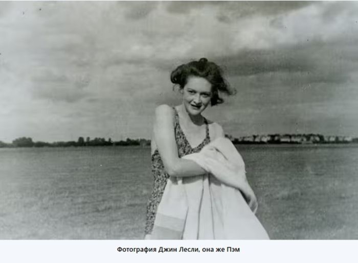 картинка aeeea0bf8c kak mertvyj bezdomnyj pomog pobedit nacistskuju germaniju 3