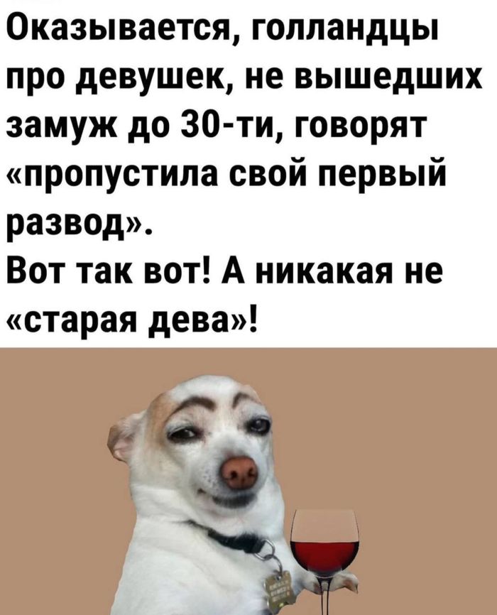 картинка b03685bf65 vzroslyj jumor poshlye shutki svezhie memy da 26