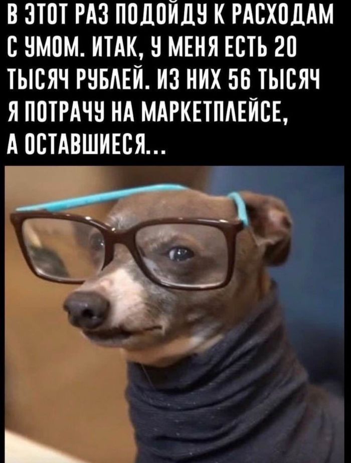 картинка b359c87c1c vnimanie objavlena malenkaja pjatnica 13