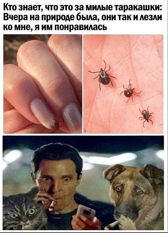 картинка bb8e0b0329 chernyj jumor dlja vzroslyh bolshaja podborka poshlyh i amoralnyh memov 34