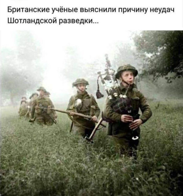 картинка be25f8a905 00000