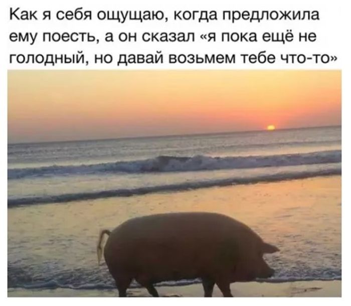 картинка c2c24eecd7 chernyj jumor dlja nastojaschih cenitelej podborka kotoraja zastavit vas smejatsja do slez 12