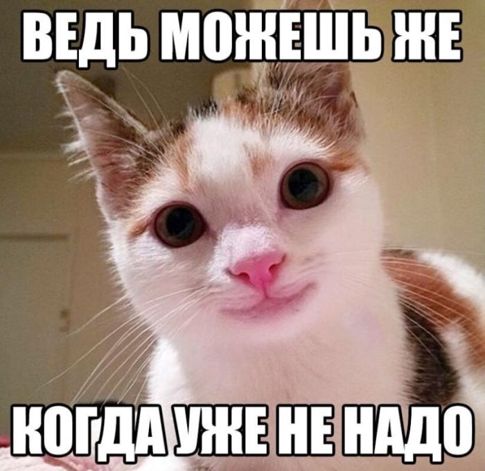 картинка c3cea0781c gotovy k porcii derzkogo ostrogo i neprilichnogo jumora 14