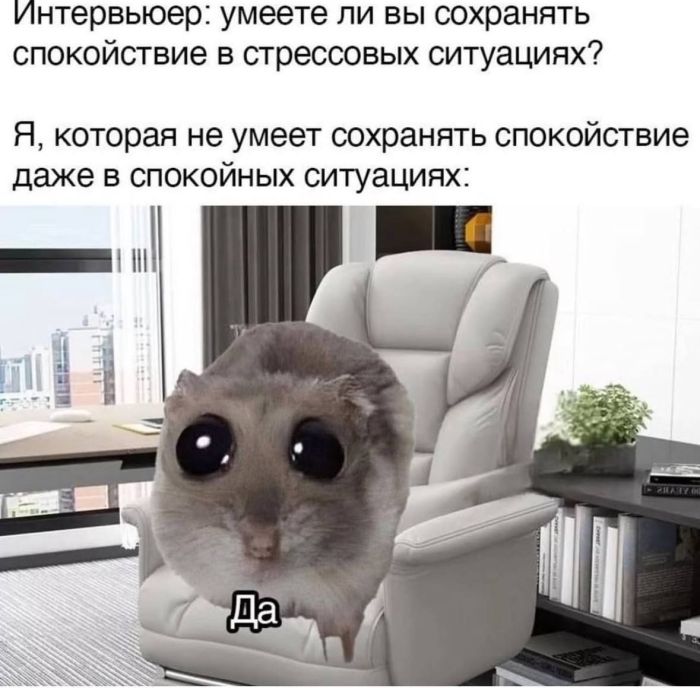 Устали от будней? Хочется улыбнуться? Тогда вам сюда! собрали, просто, делитесь, смейтесь, Листайте, позитива, настроение, отличное, Гарантируем, наслаждайтесь, заботах, свежую, Забудьте, надписями, картинках, мемах, юмора, отборного, самого, порцию
