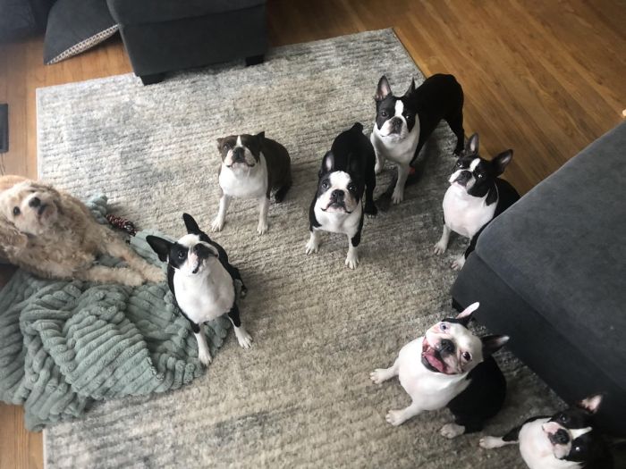 картинка c974d1285e ura pjatnica zarjazhaemsja pozitivom pered vyhodnymi 9