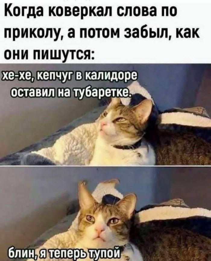 Хотите порцию отличного настроения? Вам сюда! прочесали, который, благодарноПредыдущая, очень, будет, настроение, пропустите, духНе, поднимет, точно, проверенный, просторы, Только, сетей, социальных, комментарии, смешные, самые, найти, чтобы