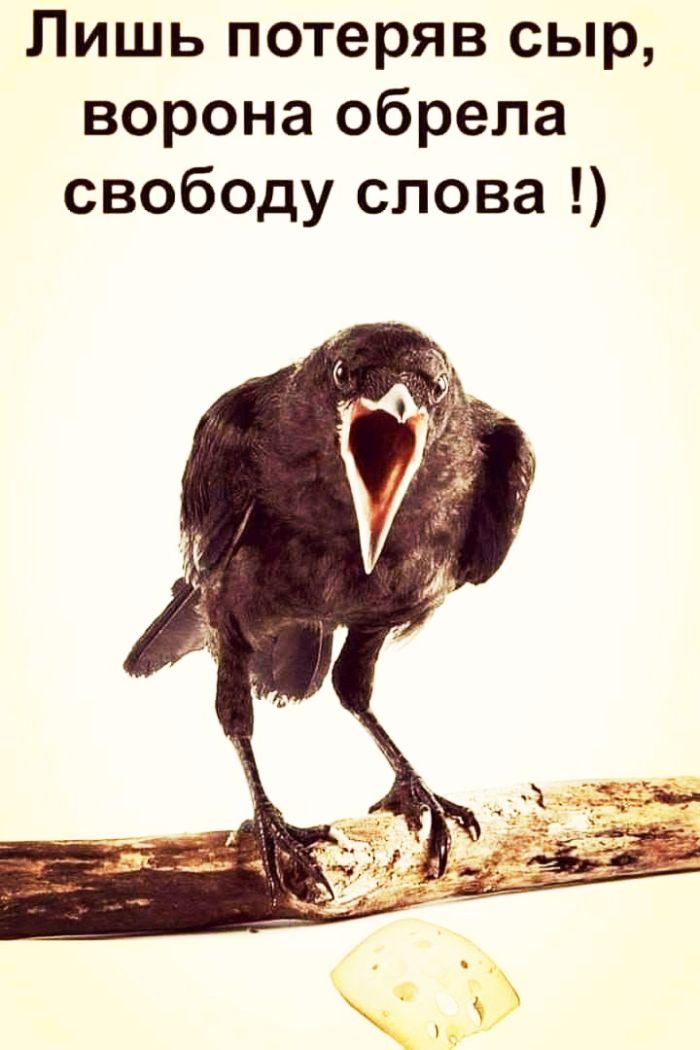 картинка ce859fa3e8 0000000000000000