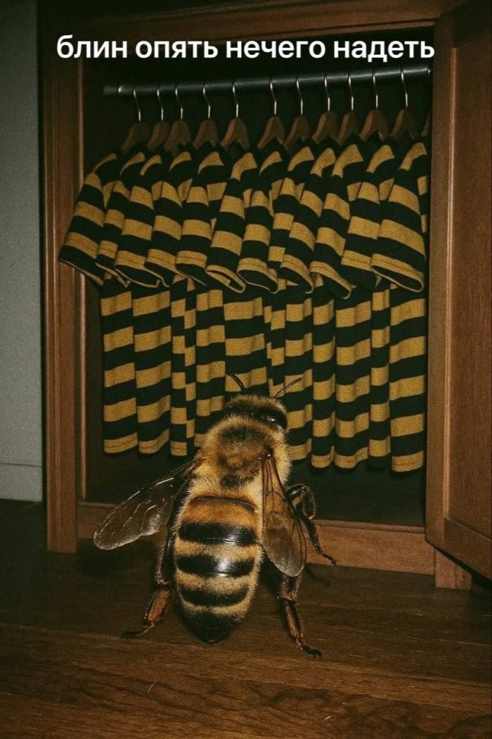 Лучшие мемы ушедшей недели: Зарядись позитивом! чтобы, качестве, каждый, точно, каждой, мемов, Устали, подобрали, настроения, поднятие, всёГарантированное, охватили, попкультуры, политики, отношений, ситуаций, повседневных, днейРазнообразие, последние, интернете