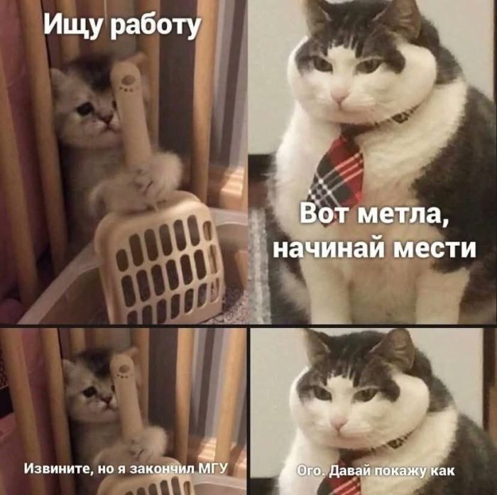 Островки юмора в бурю проблем: подборка мемов и остроумных комментариев для поднятия настроения самые, расслабиться, позитива, моменты, улыбку, юмора, улыбнуться, подарят, комментарий, шутка, каждый, пусть, дальше, листайте, Тогда, Бывают, Готовы, смеха, доктором, персональным