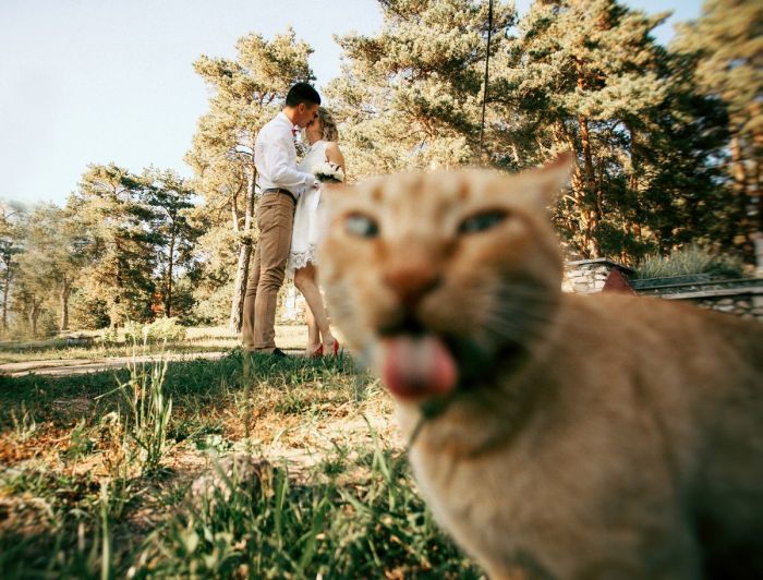 Пятница, ты ли это? 🎉 Самый ожидаемый день недели встречает нас свежей порцией позитива! только, сделать, который, сборник, чтобы, пятницу, смеяться, выходные, идеально, нужно, жизни, моменты, красивые, просто, пейзажи, вдохновляющие, животные, милые, Улыбки, уверены