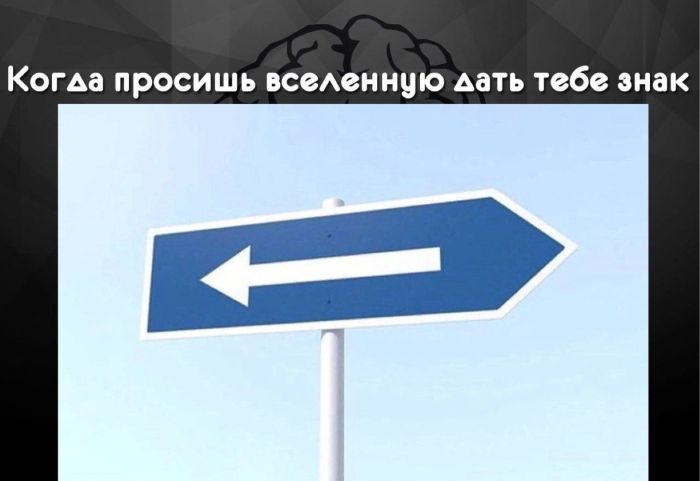 Улыбнитесь шире: Ваш идеальный сборник приколов для выходных! сборник, самые, станет, выходные, позитива, чтобы, Устали, каждый, Пусть, веселья, беззаботного, билет, праздником, личный, взрыву, Готовьтесь, вперед, неделю, энергией, позитивной