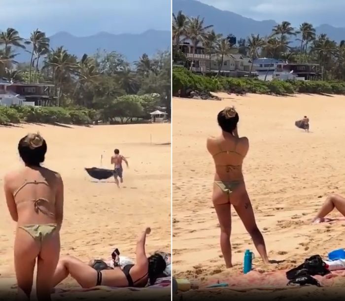 Зонт явно выиграл эту гонку