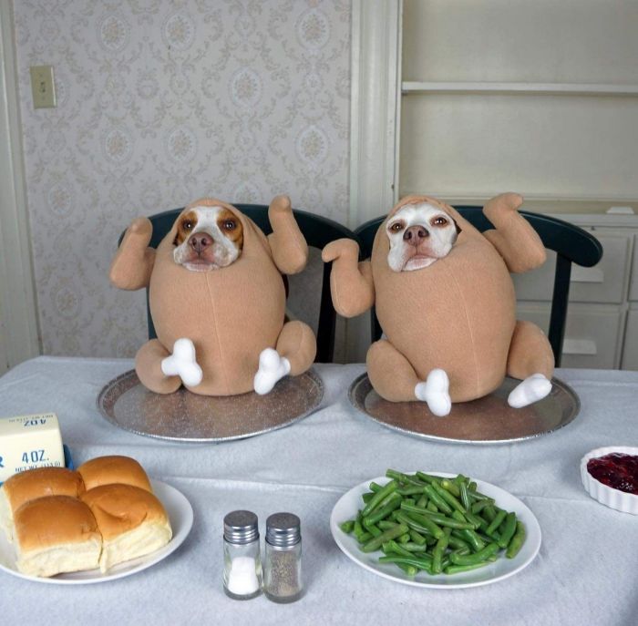 картинка da87bfefaf vnimanie objavlena malenkaja pjatnica 4