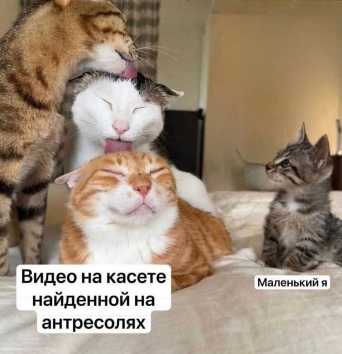 Чёрный юмор для избранных: подборка шуток не для слабонервных