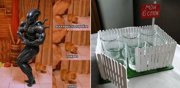 Ура, пятница! Заряжаемся позитивом перед выходными