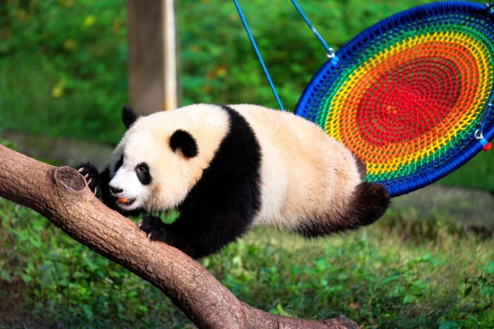 картинка e0c8b330c5 seredina nedeli malenkaja pjatnica podborka pozitiva dlja zarjada jenergii 4