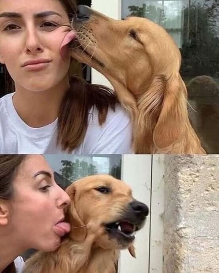 картинка e16a831dde chernyj jumor dlja nastojaschih cenitelej podborka kotoraja zastavit vas smejatsja do slez 20