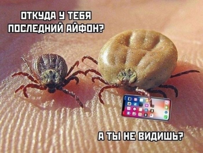 картинка e31f37fb32 chernyj jumor dlja nastojaschih cenitelej podborka kotoraja zastavit vas smejatsja do slez 2