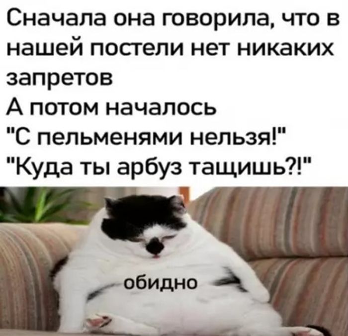 картинка e491929f90 chernyj jumor dlja nastojaschih cenitelej podborka kotoraja zastavit vas smejatsja do slez 15