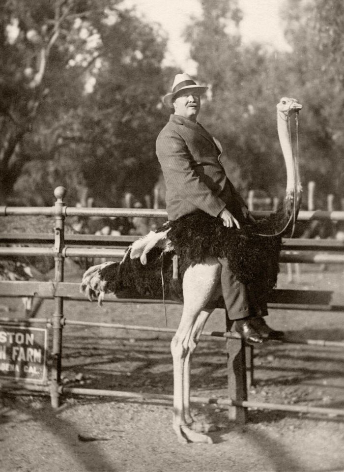 картинка e4ae850d2b ura pjatnica zarjazhaemsja pozitivom pered vyhodnymi 8