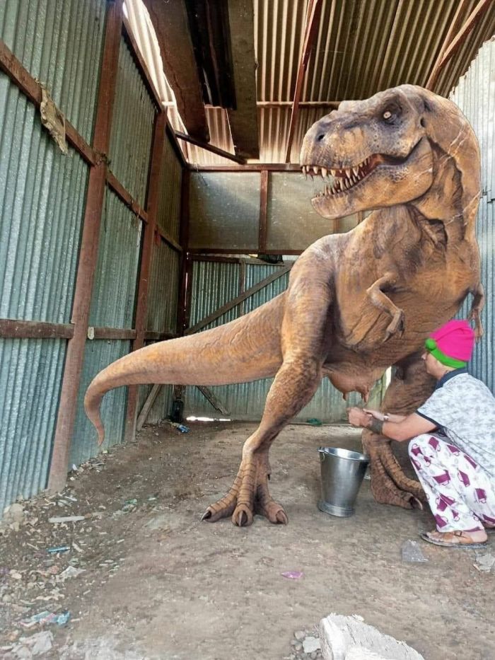 Ура, пятница! 🥳 Заряд позитива для идеального начала выходных пятница, смешных, пятницу, сделают, точно, шутки, настроения, хорошего, заряду, Приготовьтесь, позитивных, надписями, картинок, мемов, самых, неделю, порцию, новую, подготовили, позитивным