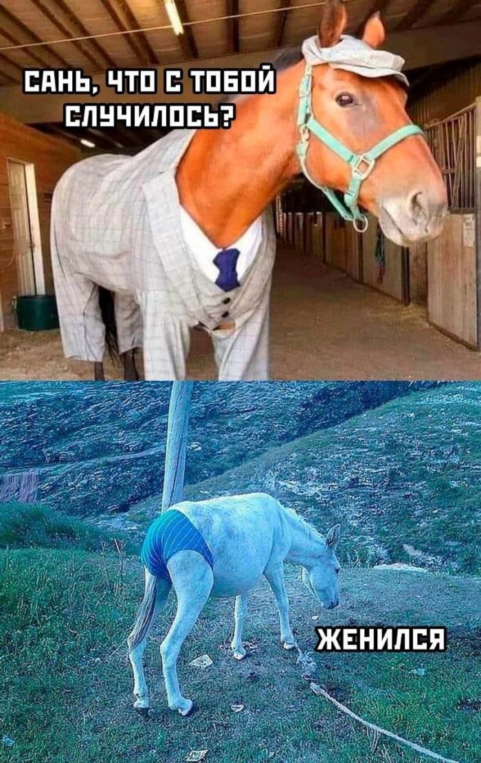 картинка efba431c75 seredina nedeli malenkaja pjatnica podborka pozitiva dlja zarjada jenergii 5