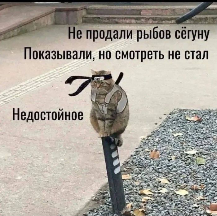 картинка f15c886199 00