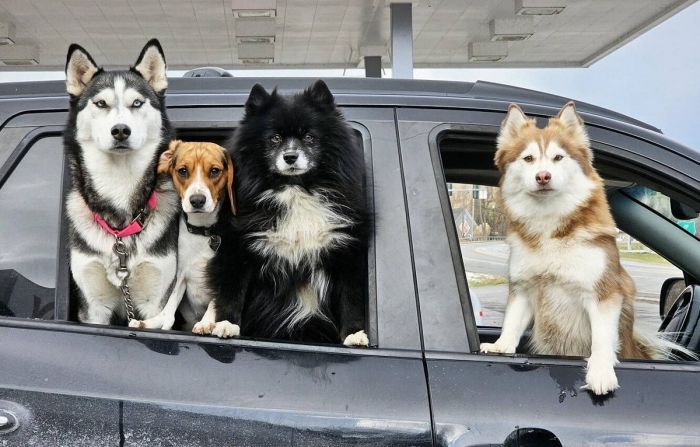 картинка f1a6d81700 seredina nedeli malenkaja pjatnica podborka pozitiva dlja zarjada jenergii 12