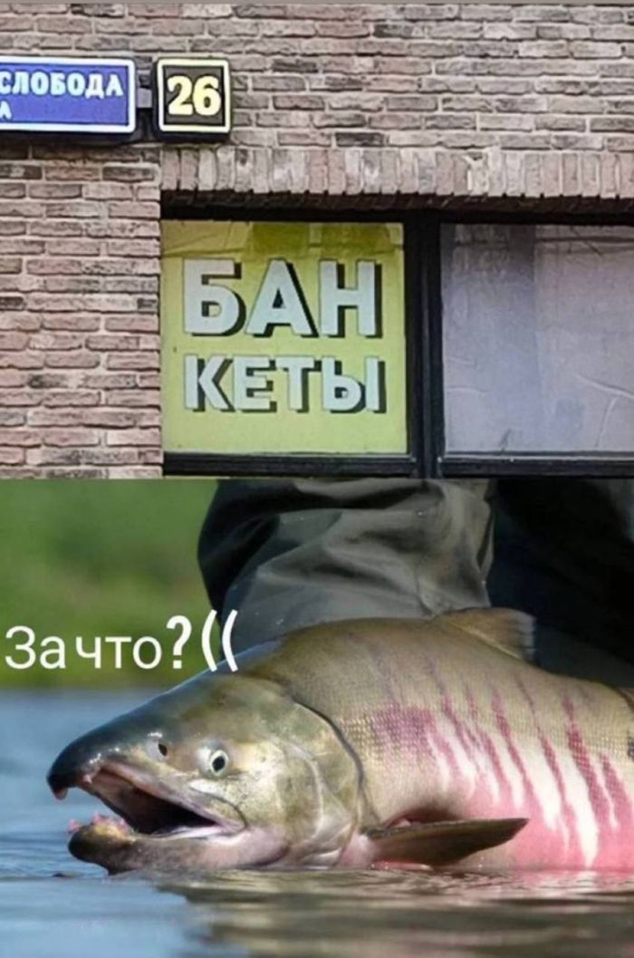 картинка f267976245 vzroslyj jumor poshlye shutki svezhie memy da 10