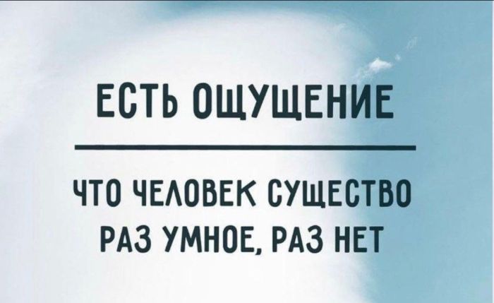 Улыбнитесь шире: Ваш идеальный сборник приколов для выходных! сборник, самые, станет, выходные, позитива, чтобы, Устали, каждый, Пусть, веселья, беззаботного, билет, праздником, личный, взрыву, Готовьтесь, вперед, неделю, энергией, позитивной