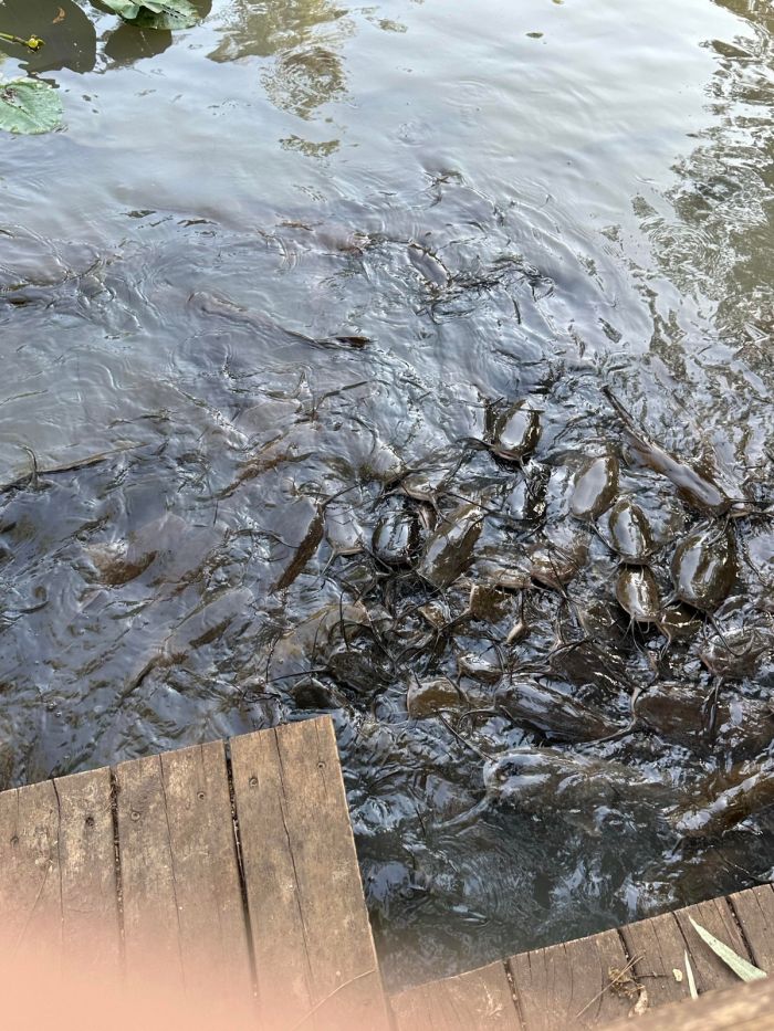 картинка f360ef30cb ura pjatnica zarjazhaemsja pozitivom pered vyhodnymi 2