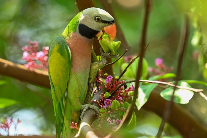 картинка f3796be9ac malenkaja pjatnica uzhe zdes podnimaem nastroenie v seredine nedeli 2