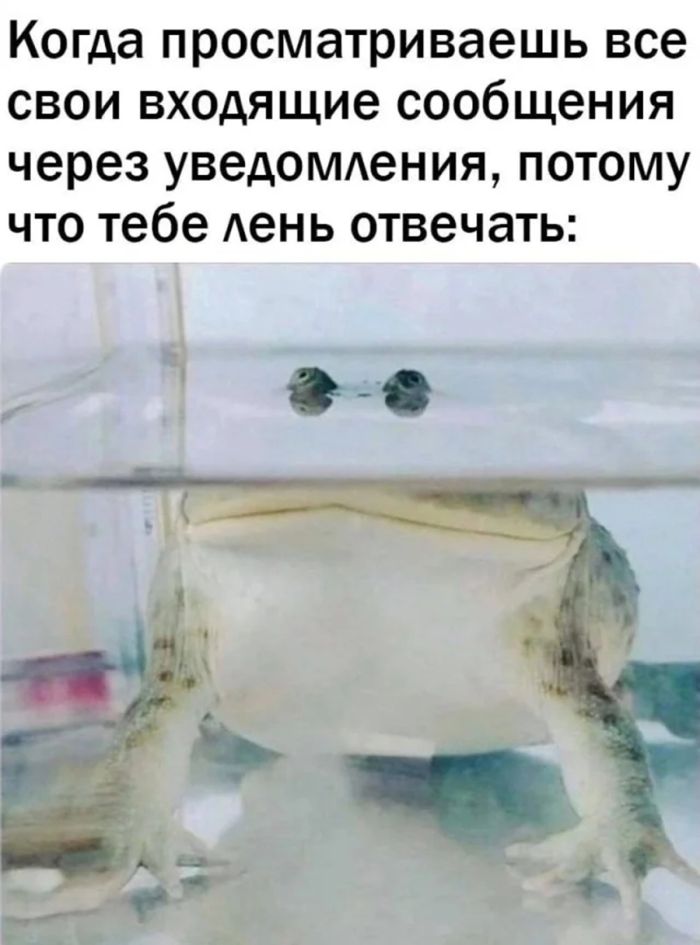 Улыбнитесь шире! Новый сборник шуток и приколов уже здесь, чтобы поднять вам настроение! каждая, Тогда, настроения, Устали, поездку, Готовы, веселья, искреннего, минут, несколько, подарят, просто, скрасят, скучную, смеха, тяжелого, после, расслабиться, помогут, ситуации