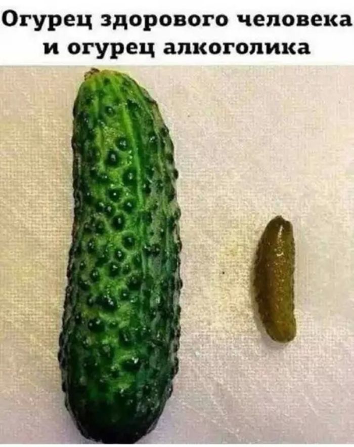 картинка f70031bd67 vzroslyj jumor poshlye shutki svezhie memy da 17