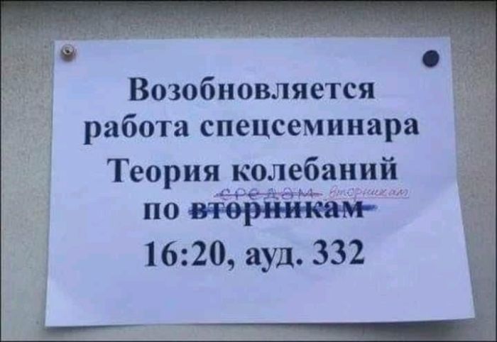 Улыбнитесь шире: Ваш идеальный сборник приколов для выходных! сборник, самые, станет, выходные, позитива, чтобы, Устали, каждый, Пусть, веселья, беззаботного, билет, праздником, личный, взрыву, Готовьтесь, вперед, неделю, энергией, позитивной