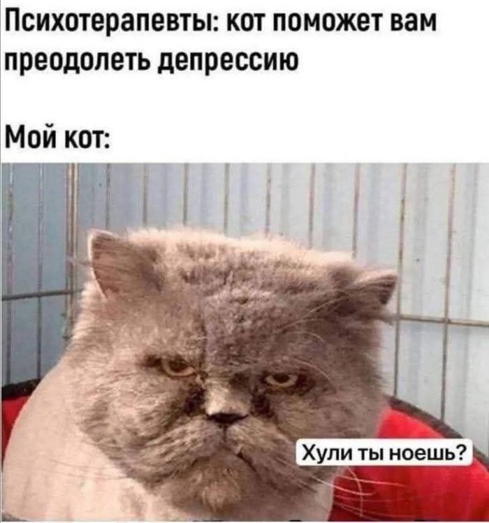 картинка fb64f705b1 seredina nedeli malenkaja pjatnica podborka pozitiva dlja zarjada jenergii 0