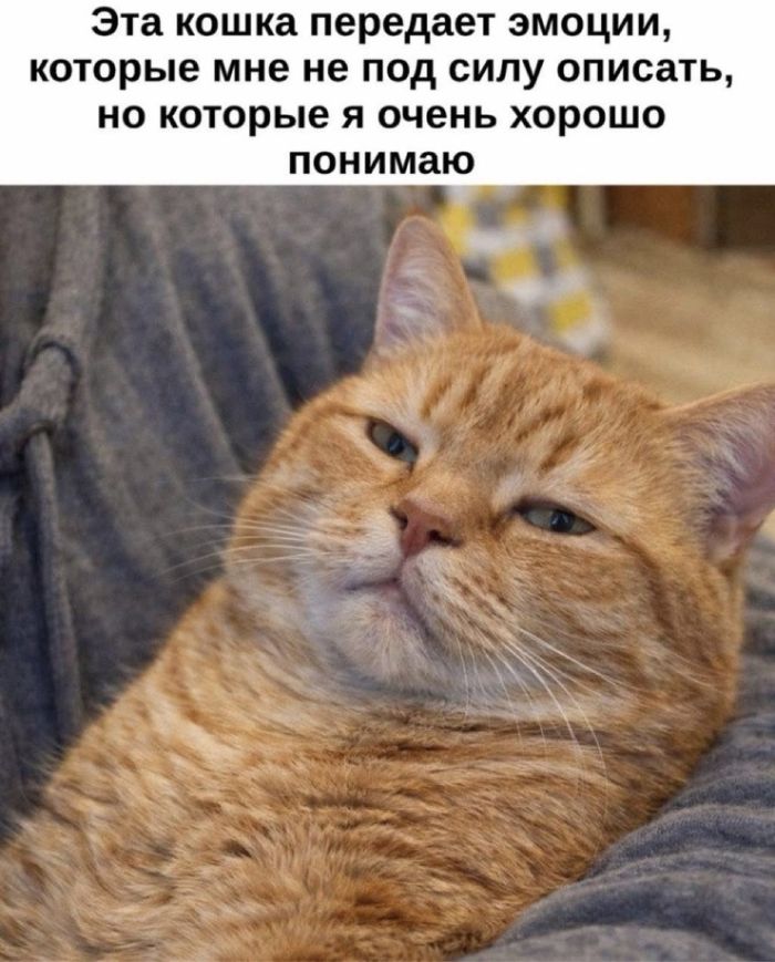 картинка fda374ea12 vnimanie jumor ne dlja vseh 10