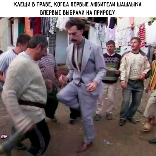 картинка 01b7b93f66 20939733