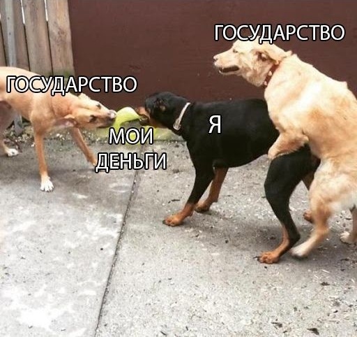 картинка 021b71deda 00000000