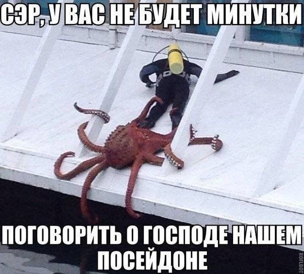картинка 02622d6d1a 20936750
