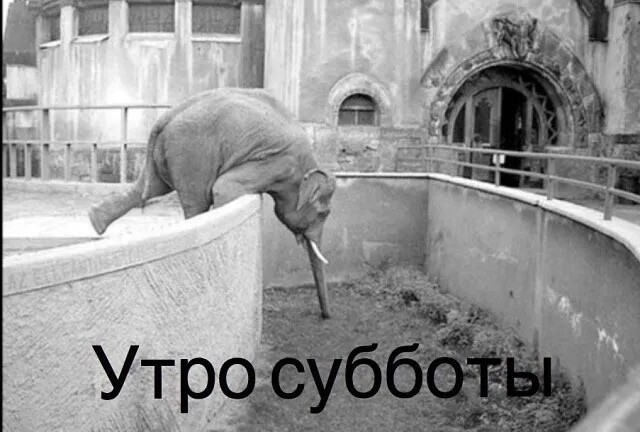 картинка 0357a895bf 20987108