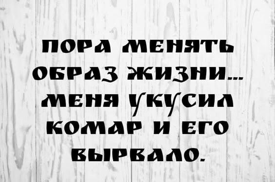 картинка 03ae84fe8b 20984842