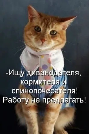 картинка 04072aa18b 20938521