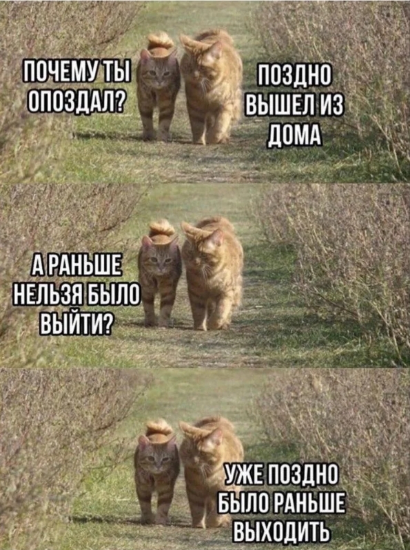 Готовьтесь к взрыву смеха! Свежие мемы на выходные которые, настроение, минут, выходные, подписями, стоит, другие, ситуацииФилософские, короткие, ёмкие, фразы, заставляют, одновременно, выходных, смеяться, задуматьсяПочему, посмотретьЭти, мемызаряжают, позитивом, смеха