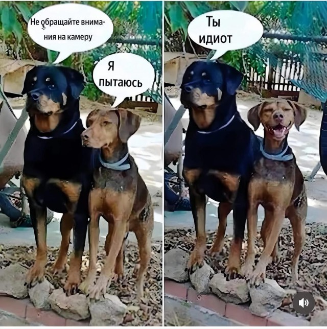 картинка 092b33d7c4 20973064
