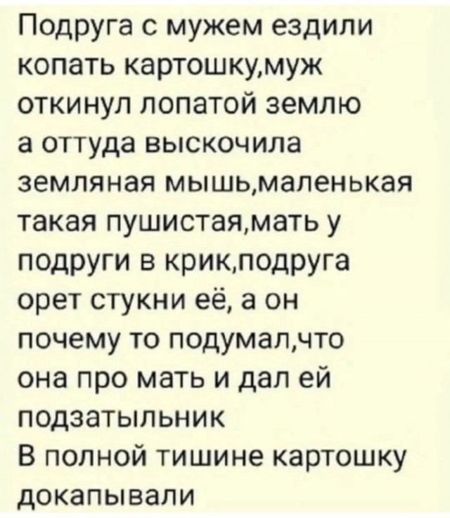 картинка 0b1f046192 21008689