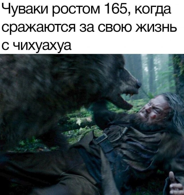 картинка 0d9157c416 21021175