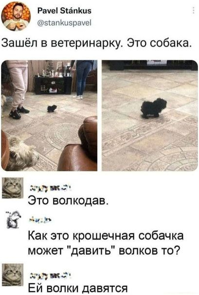 картинка 0f8dc5f1ce ulybnites podborka samyh smeshnyh memov i prikolnyh kommentariev iz socsetej 6