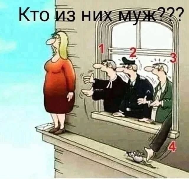 картинка 0fc353c2cb 20955894