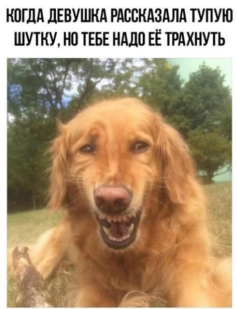 картинка 0fcf3d3c10 gotovy k porcii chernogo jumora ostorozhno mozhet byt slishkom smelo 13